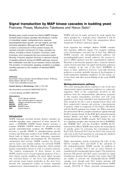 Signal transduction by MAP kinase cascades in budding yeast