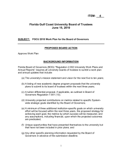 2010 University Work Plan - Florida Gulf Coast University