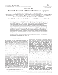Determinate Root Growth and Meristem Maintenance in Angiosperms