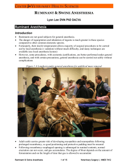 RUMINANT SWINE ANESTHESIA