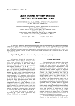 liver enzyme activity in dogs infected with babesia canis