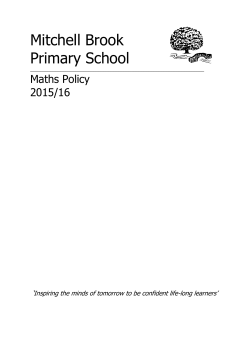 Mitchell Brook Primary School