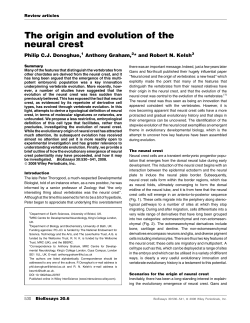 The origin and evolution of the neural crest