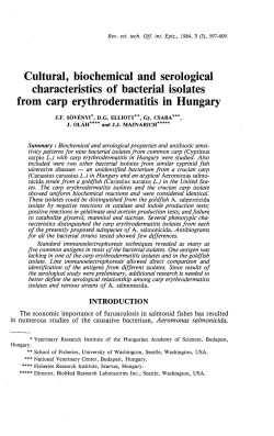 Cultural, biochemical and serological characteristics of bacterial