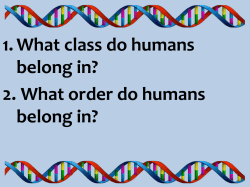 1. What class do humans belong in? 2. What order