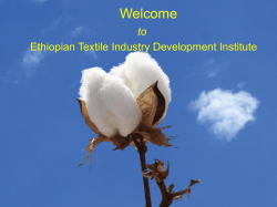 ethiopian textile industry development institute - german