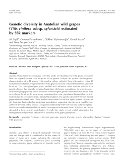 Genetic diversity in Anatolian wild grapes (Vitis vinifera subsp