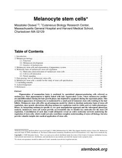 Melanocyte stem cells