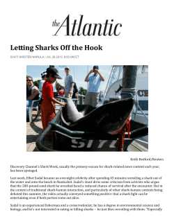 Letting Sharks Off the Hook - Concerned Citizens of Montauk