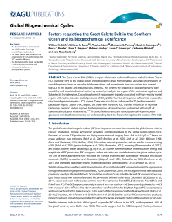 Factors regulating the Great Calcite Belt in the Southern Ocean and