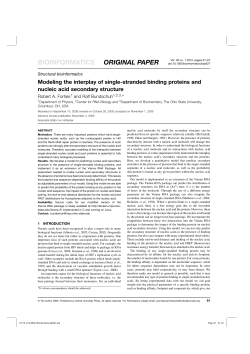 Modeling the interplay of single-stranded binding proteins and