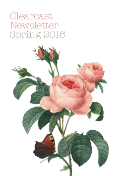 Clearcast Newsletter Spring 2016
