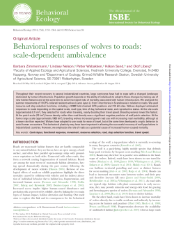 Behavioral responses of wolves to roads: scale
