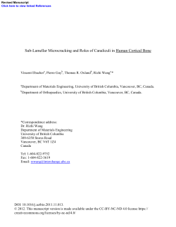 Sub-Lamellar Microcracking and Roles of Canaliculi in Human