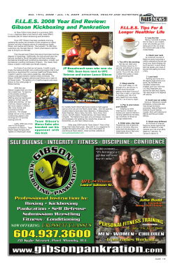 FILES 2008 Year End Review: Gibson Kickboxing