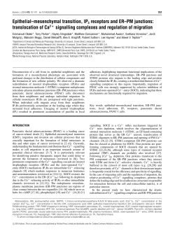 Epithelial&ndash;mesenchymal transition, IP3 receptors and ER&ndash;PM