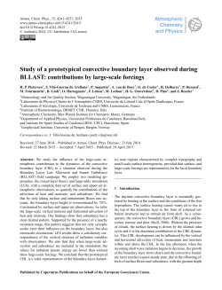 Study of a prototypical convective boundary layer observed during