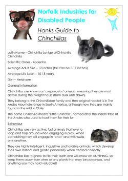 Hanks Guide to Chinchillas