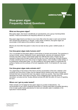 Blue-green algae - Agriculture Victoria