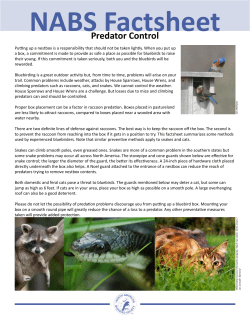 Predator Control - North American Bluebird Society
