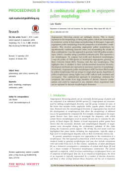 A combinatorial approach to angiosperm pollen morphology