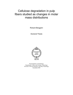 Cellulose degradation in pulp fibers studied as changes in molar