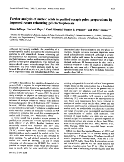 Further analysis of nucleic acids in purified scrapie prion