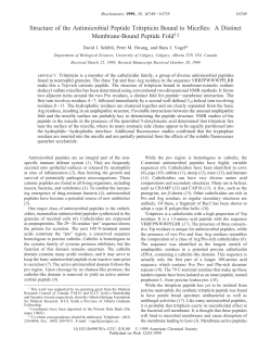 Structure of the Antimicrobial Peptide Tritrpticin Bound to Micelles: A