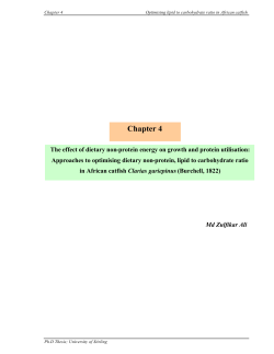 Chapter 4 - University of Stirling