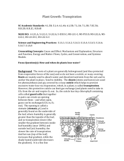 Plant transpiration