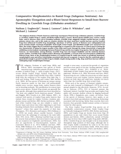 Comparative Morphometrics in Ranid Frogs