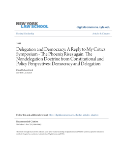 Delegation and Democracy: A Reply to My Critics Symposium