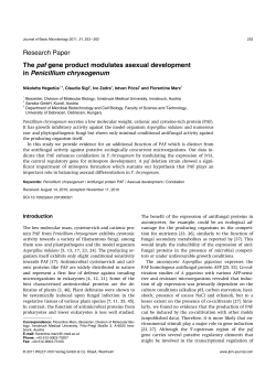 The paf gene product modulates asexual development in