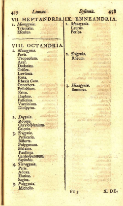 457 Linnai VII. HEPTANPRIA . I. Monogynia. VIII. OCTANDR1A. 1