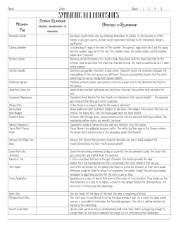 Symbiotic Relationships Practice