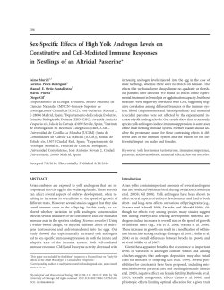 Sex-Specific Effects of High Yolk Androgen Levels on
