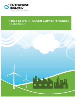 First Steps to Green Competitiveness Guidebook