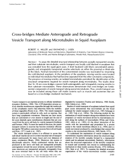 Cross-bridges Mediate Anterograde and Retrograde Vesicle