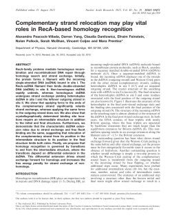 Complementary strand relocation may play vital