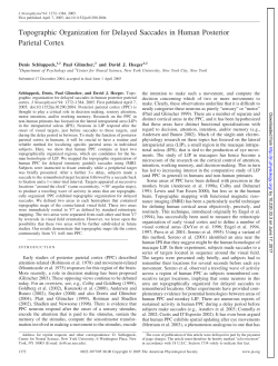 Topographic Organization for Delayed Saccades in Human