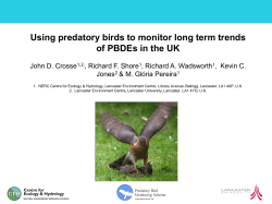 The Environmental Legacy of Brominated Flame Retardant Use