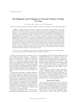 The Diagnosis and Prognosis of Synovial Tumors in Dogs: 35 Cases