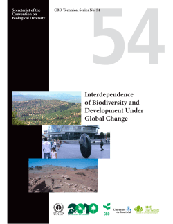 Interdependence of Biodiversity and Development Under Global