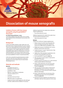 Dissociation of mouse xenografts