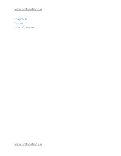 Chapter 6 Tissues - Winsight Academy
