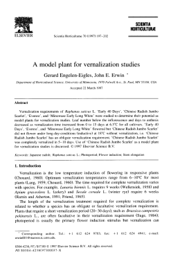 A model plant for vernalization studies