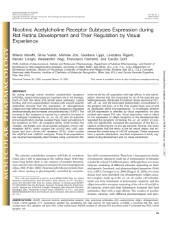 Nicotinic Acetylcholine Receptor Subtypes Expression during Rat