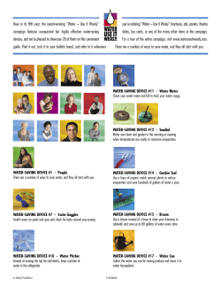 Use it Wisely - Block Island Water Company