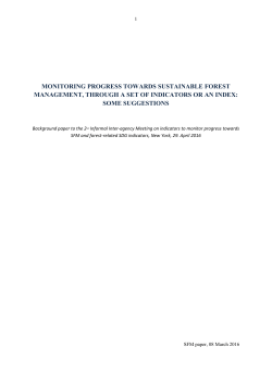 Background paper to the 2nd Informal Inter