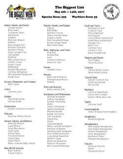 The Biggest List - The Biggest Week in American Birding
